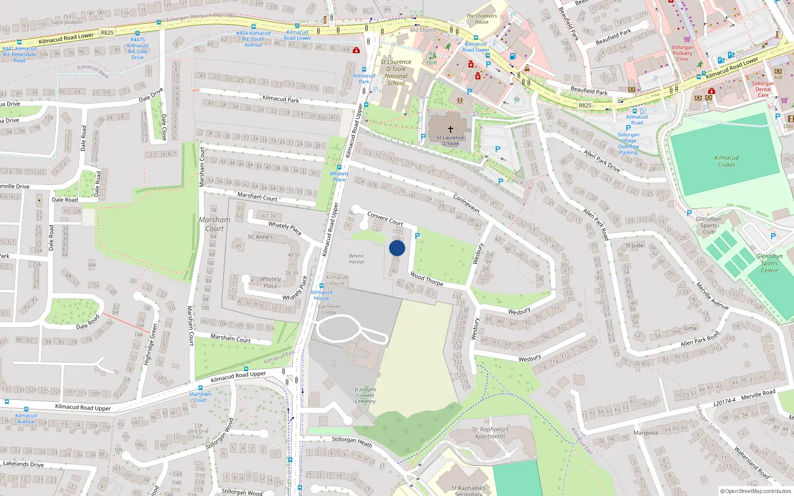 Overhead map showing the location of 14 Woodthorpe, Stillorgan