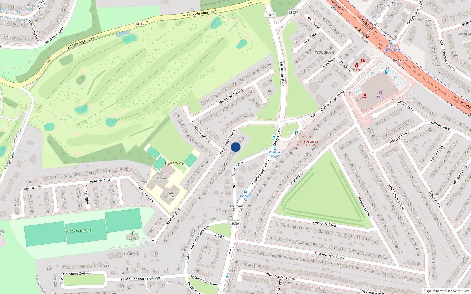Overhead map showing the location of 140 Woodview Heights, Dodsboro, Lucan