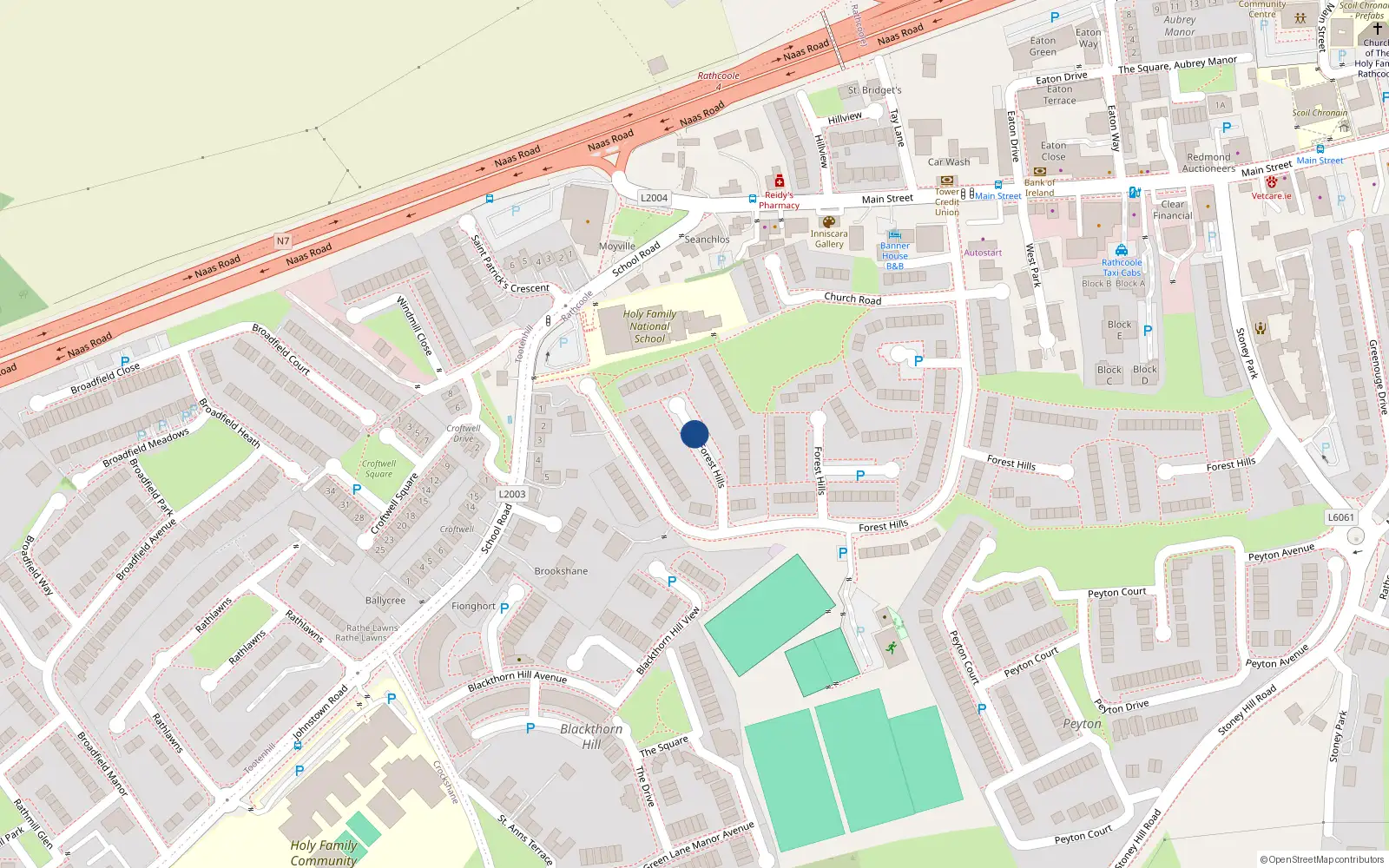 Overhead map showing the location of 142 Forest Hills, Rathcoole
