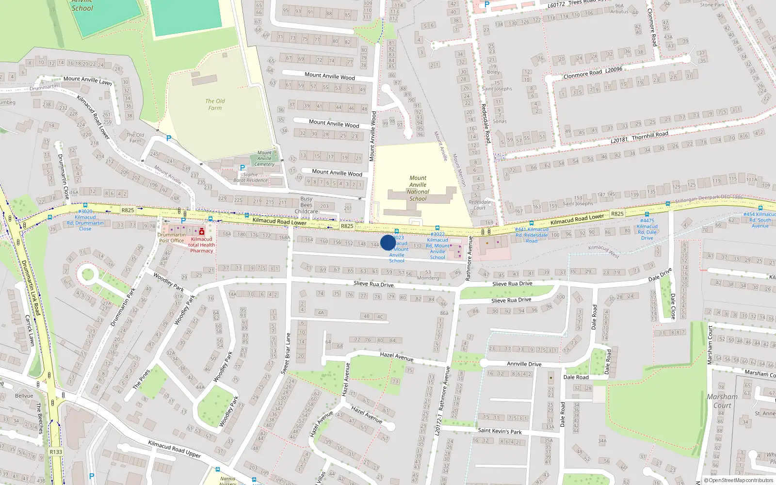 Overhead map showing the location of 142 Lr Kilmacud Road, Stillorgan, Dublin