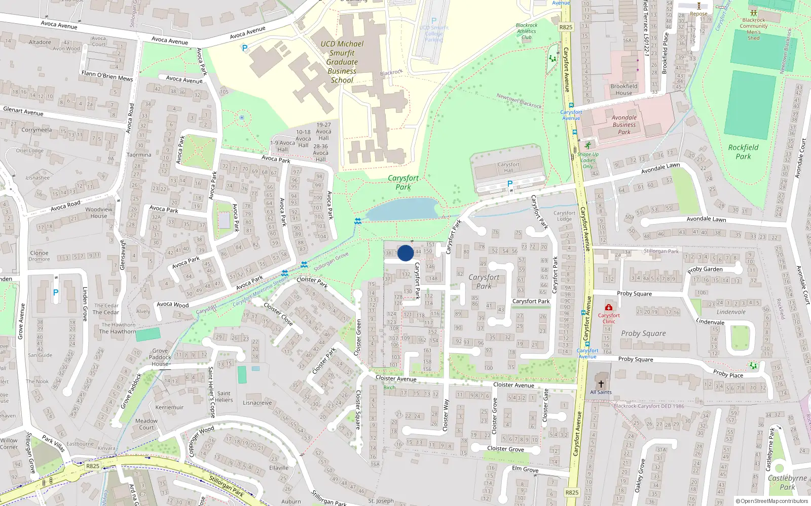 Overhead map showing the location of 143 Carysfort Park, Blackrock, Dublin