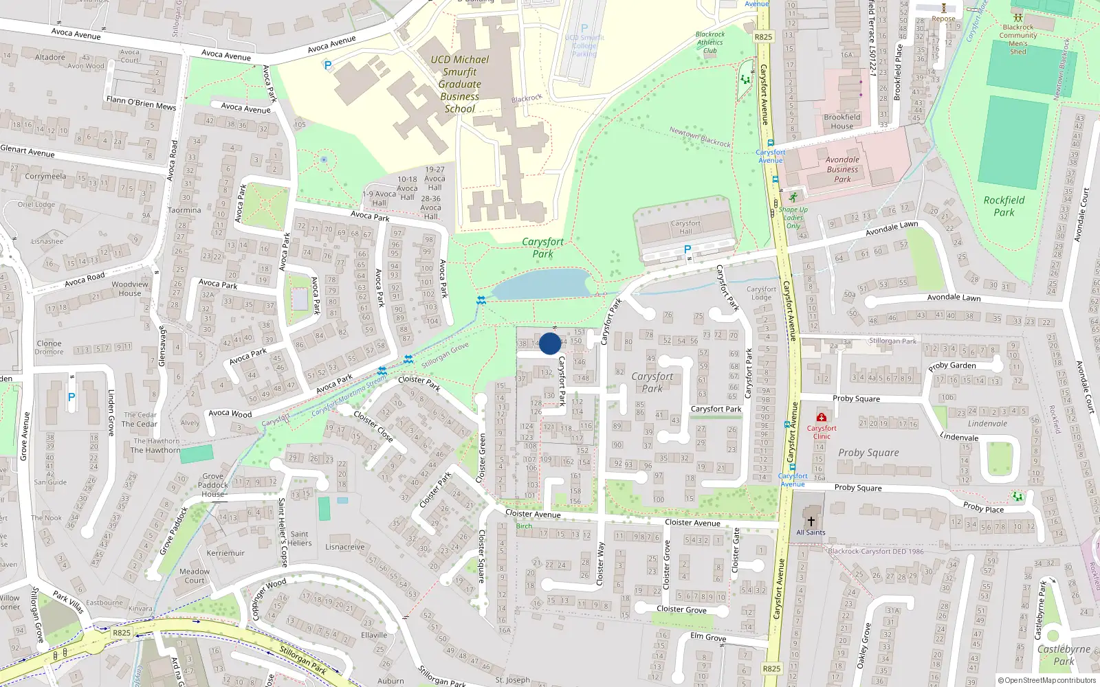 Overhead map showing the location of 143 Carysfort Park, Blackrock
