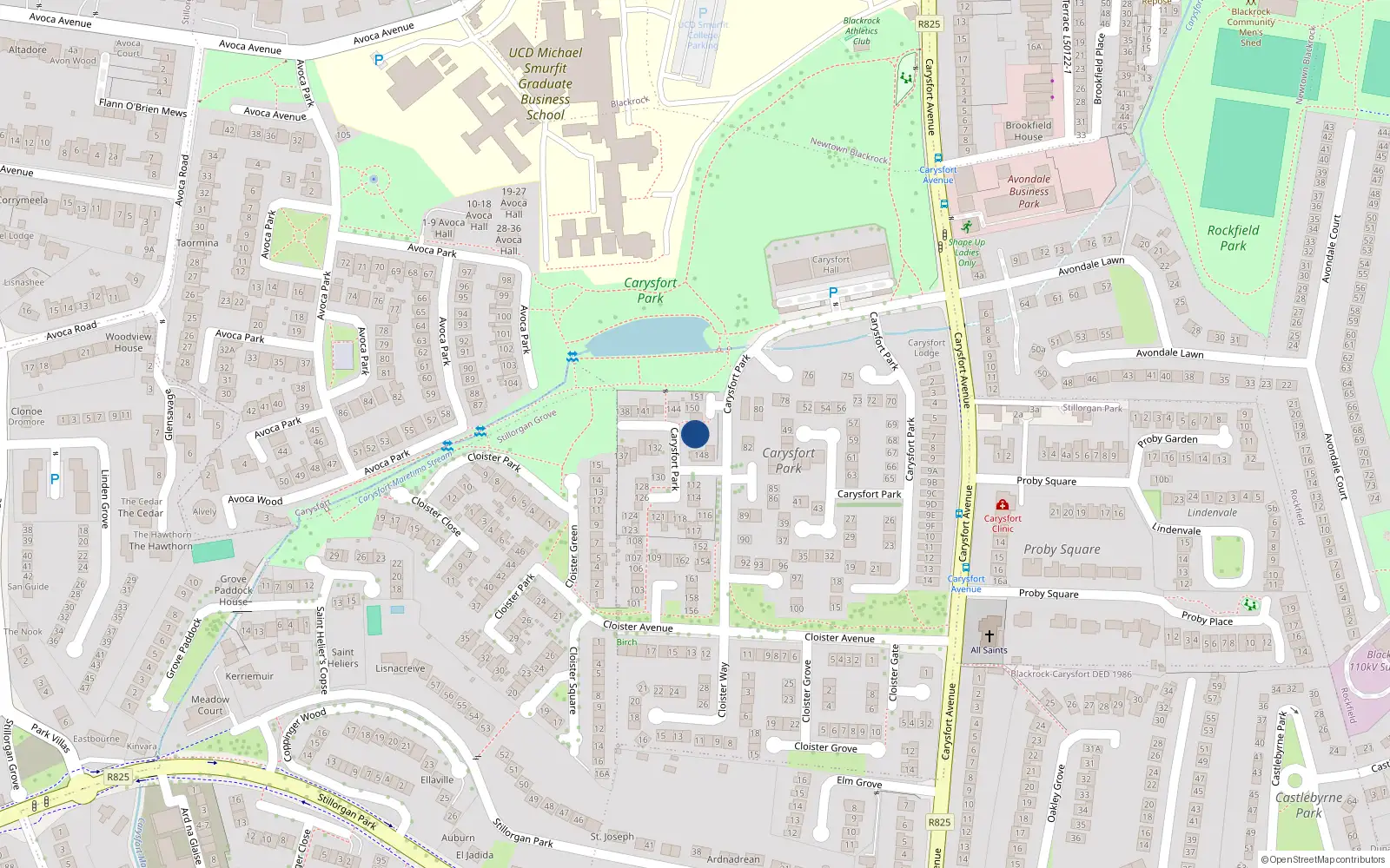 Overhead map showing the location of 146 Carysfort Park, Blackrock