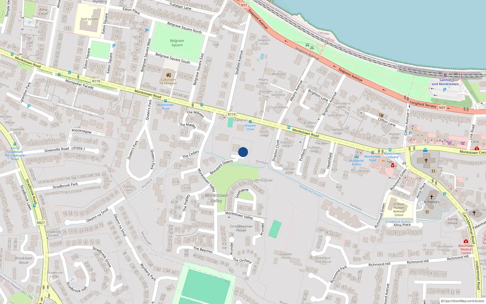Overhead map showing the location of 15 Beaupark Downs, Monkstown Valley, Monkstown