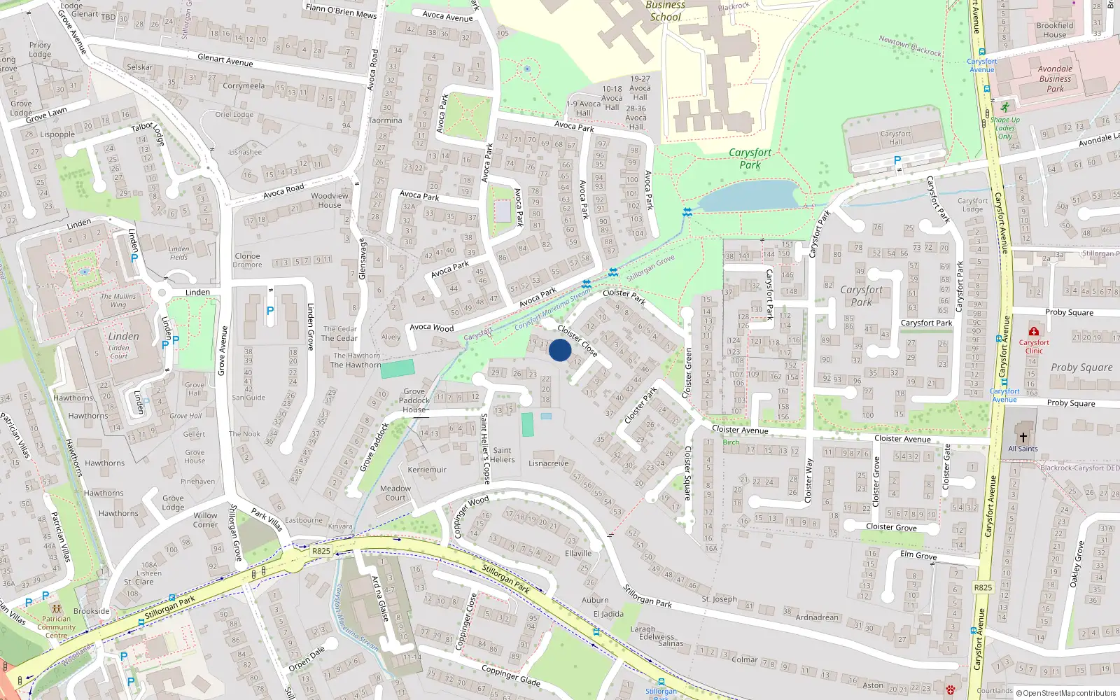 Overhead map showing the location of 15 Cloister Close, Blackrock