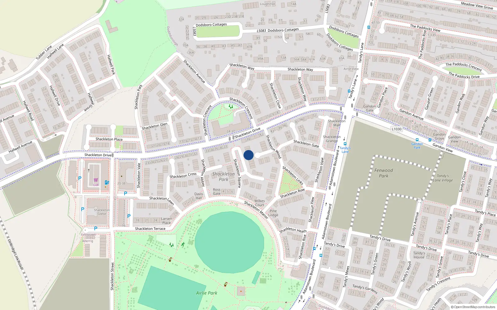 Overhead map showing the location of 15 Shackleton Square, Lucan