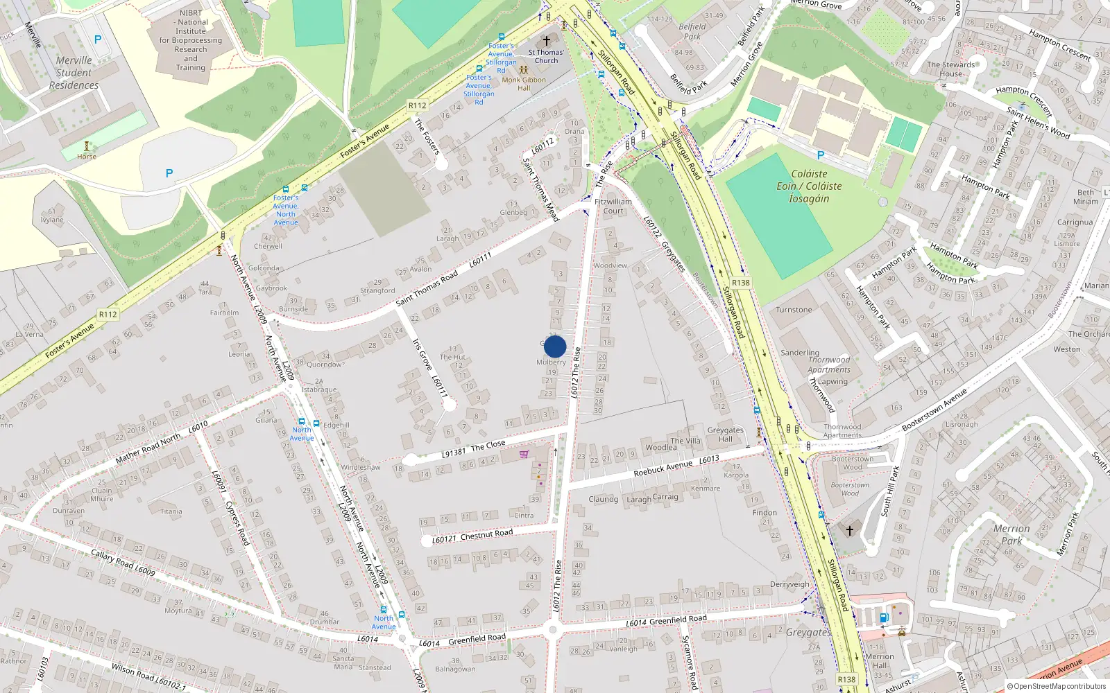 Overhead map showing the location of 15 The Rise, Blackrock