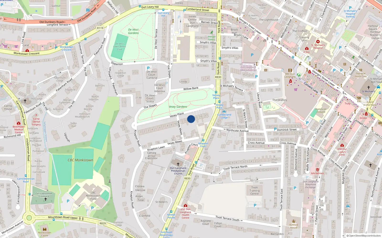 Overhead map showing the location of 15 Vesey Place, Dublin