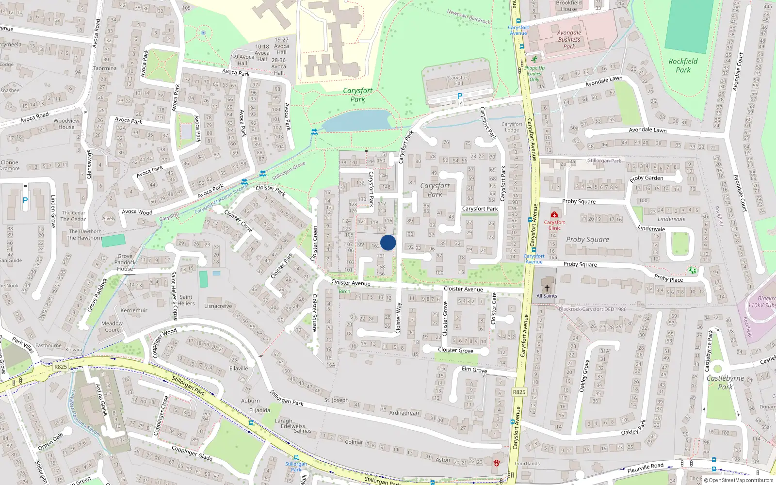 Overhead map showing the location of 153 Carysfort Park, Blackrock