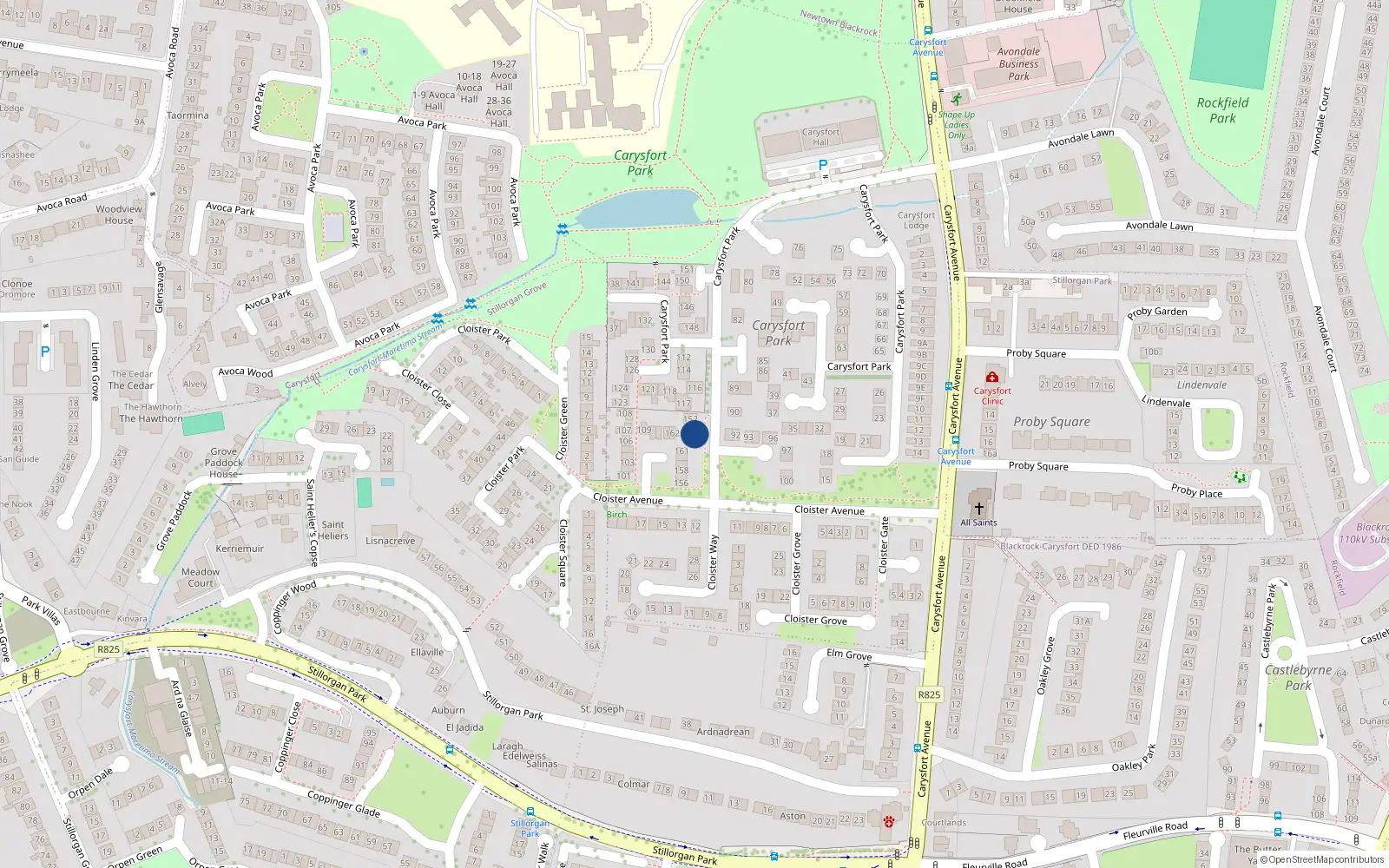 Overhead map showing the location of 154 Carysfort Park, Blackrock