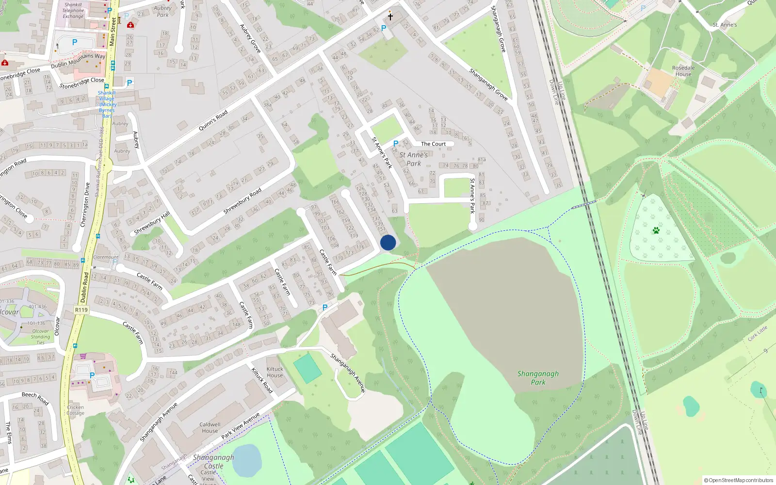 Overhead map showing the location of 156 Castle Farm, Shankill
