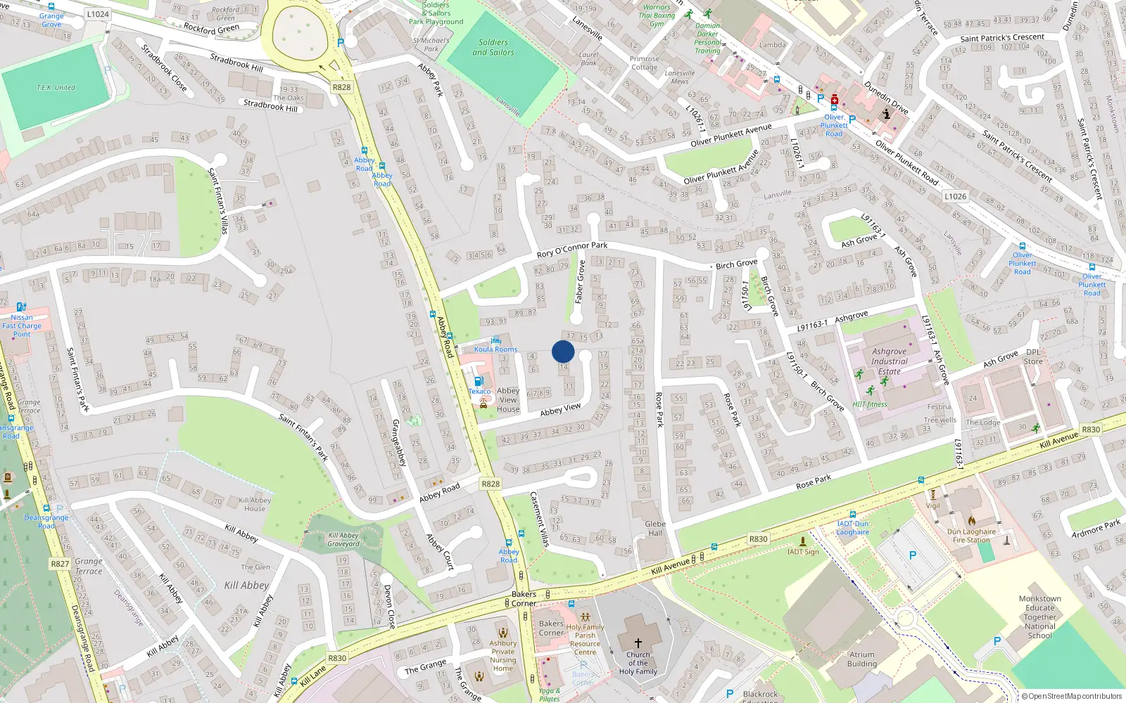 Overhead map showing the location of 16 Abbey View, Monkstown