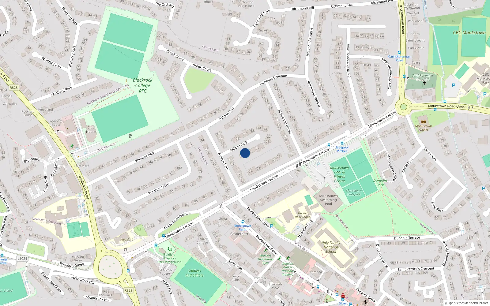 Overhead map showing the location of 16 Ashton Park, Monkstown