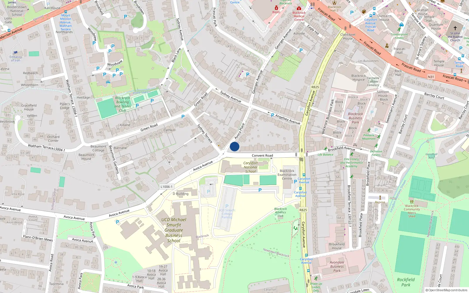 Overhead map showing the location of 16 Avoca Place, Blackrock, Dublin