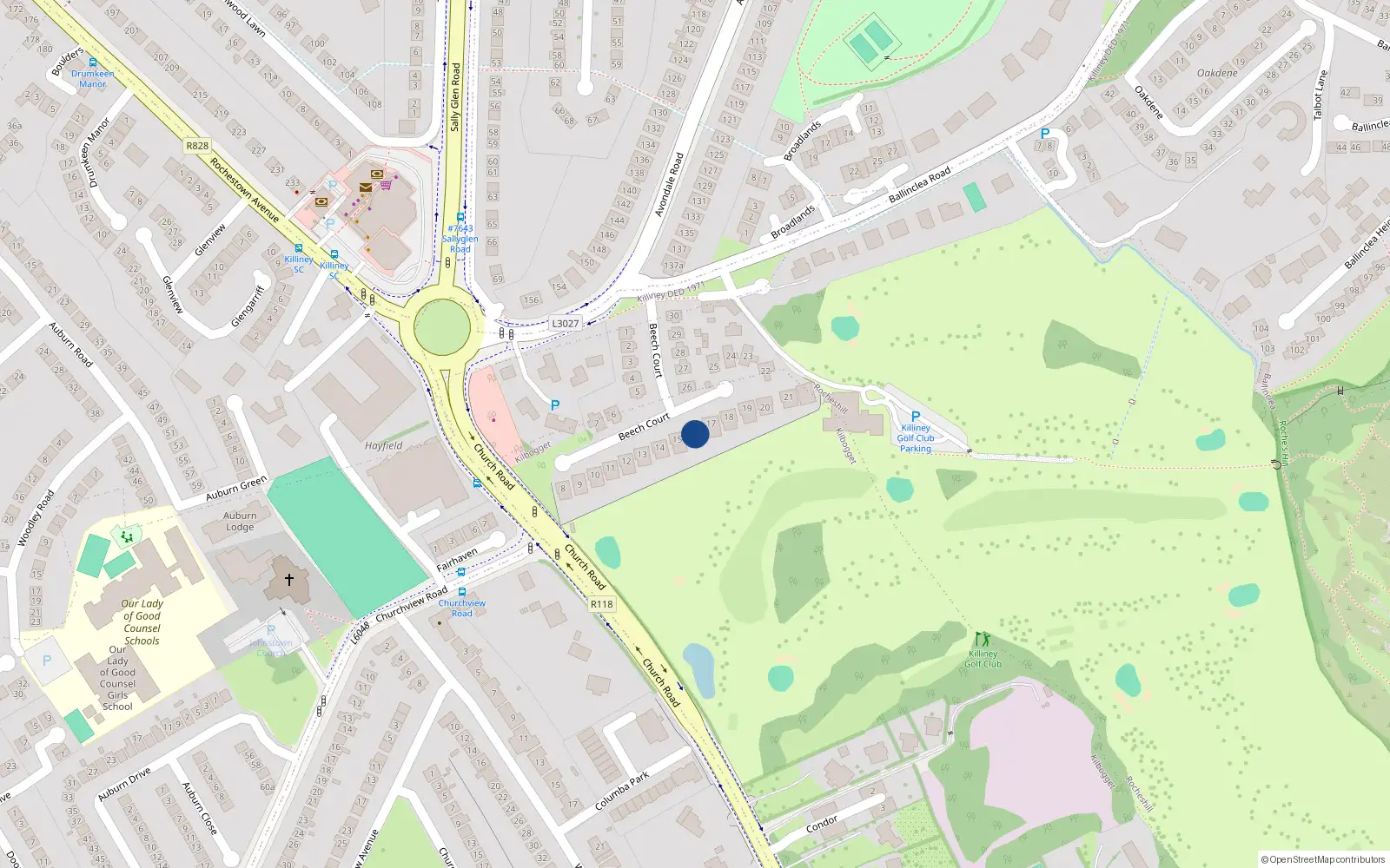 Overhead map showing the location of 16 Beech Court, Dublin
