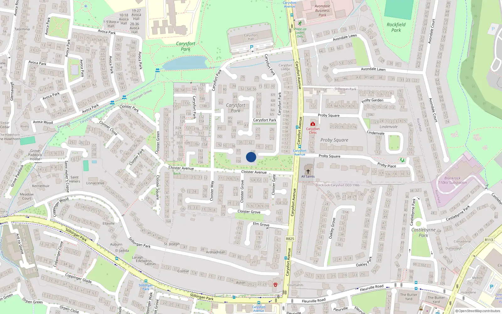 Overhead map showing the location of 16 Carysfort Park, Blackrock