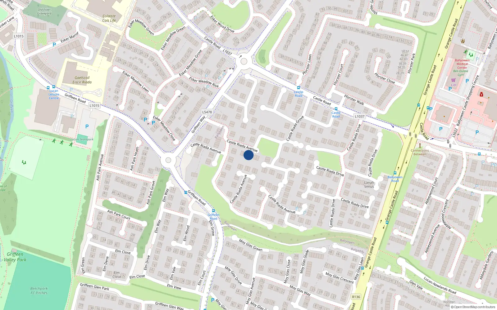 Overhead map showing the location of 16 Castle Riada Avenue, Lucan