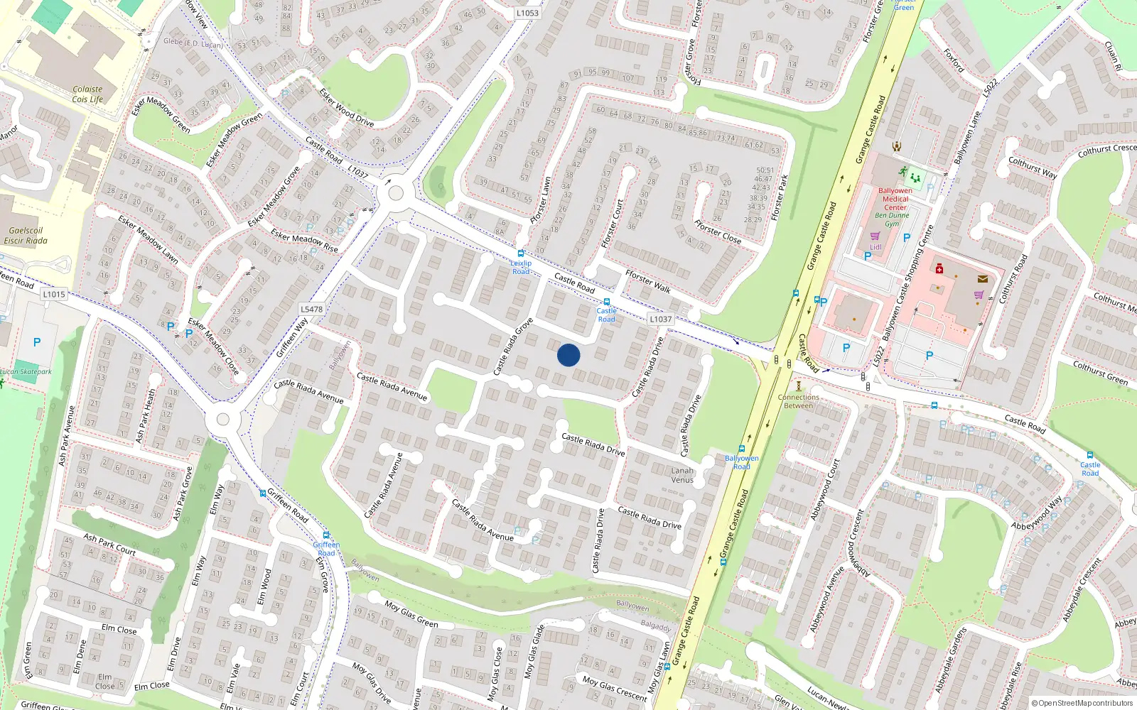 Overhead map showing the location of 16 Castle Riada Grove, Lucan