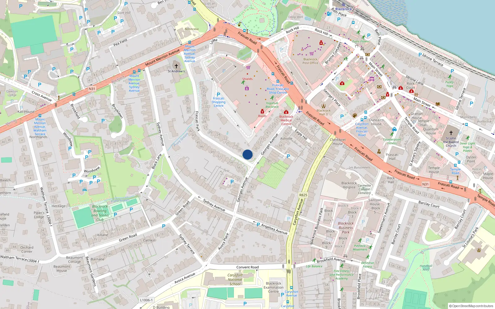 Overhead map showing the location of 16 Frascati Park, Blackrock