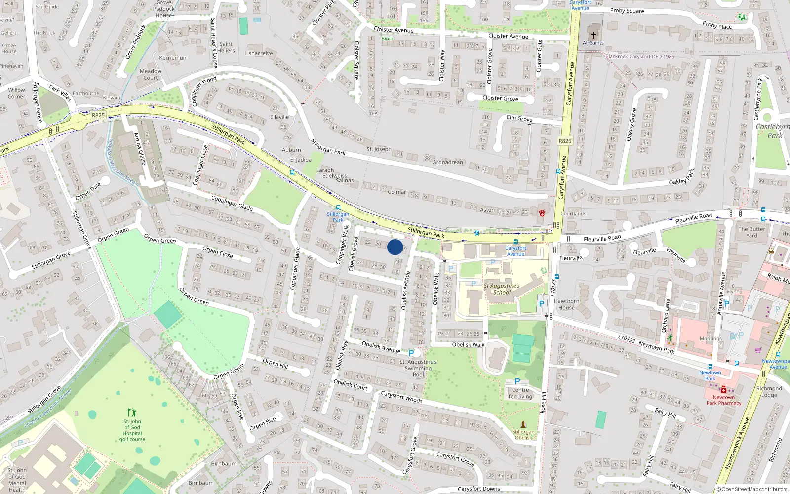 Overhead map showing the location of 16 Obelisk Grove, Blackrock