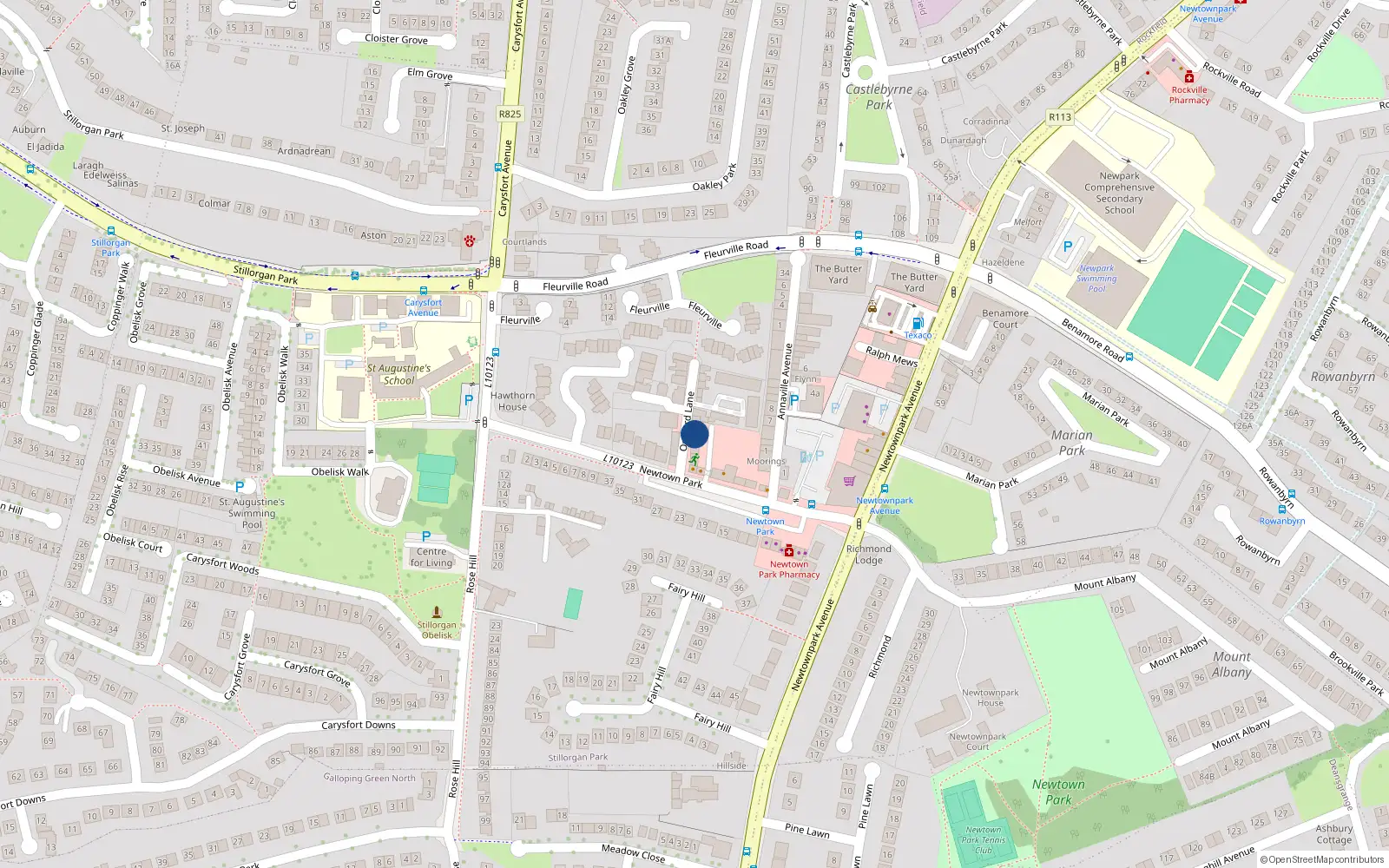 Overhead map showing the location of 16 Orchard Lane, Blackrock