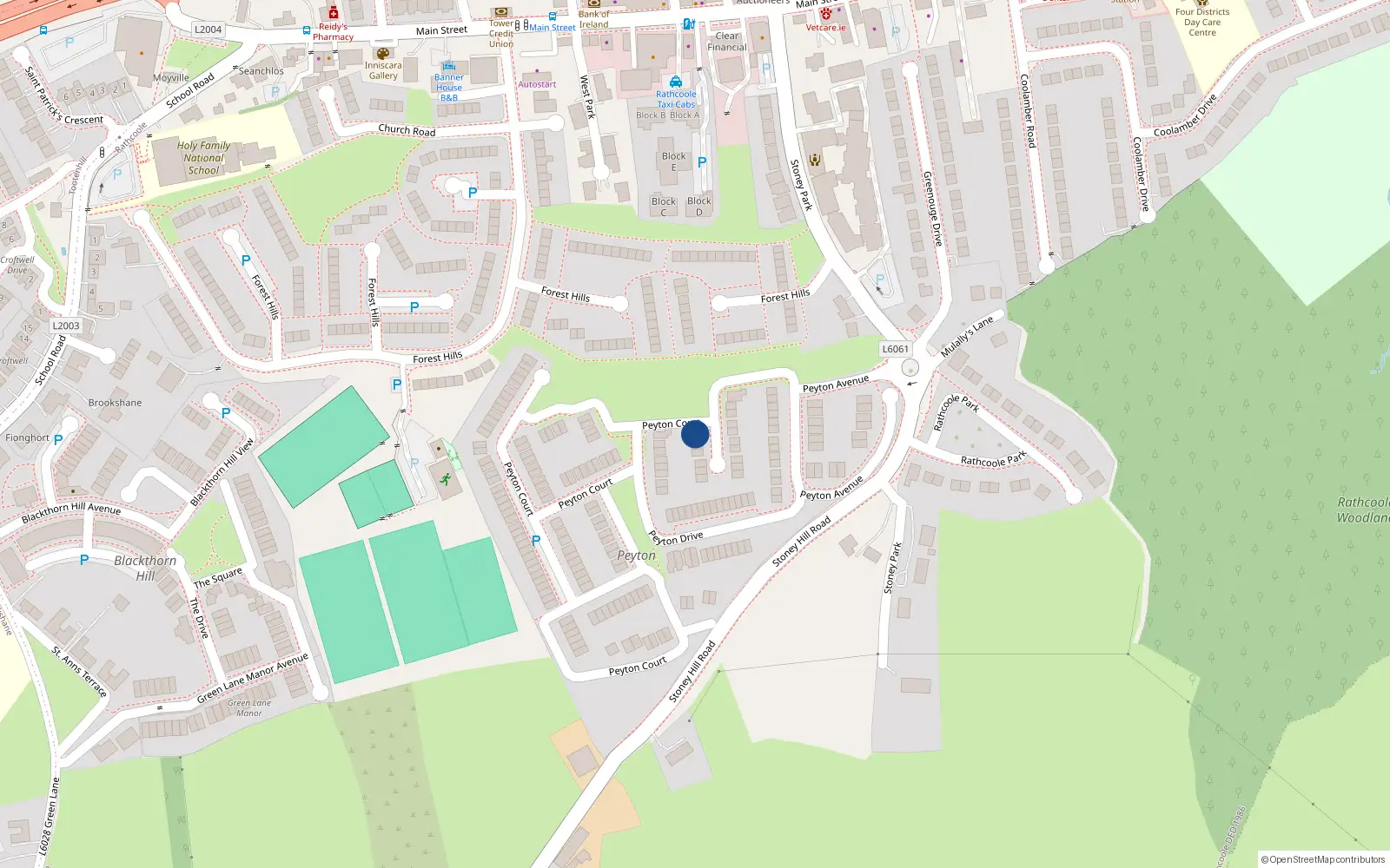 Overhead map showing the location of 16 Peyton Court, Rathcoole