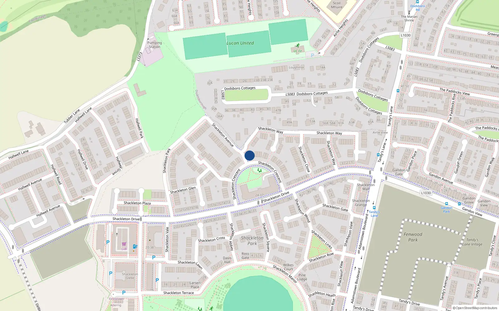 Overhead map showing the location of 16 Shackleton Crescent, Lucan