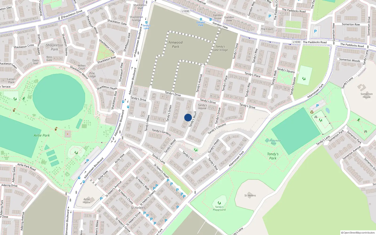 Overhead map showing the location of 16 Tandy's Wood, Adamstown, Lucan