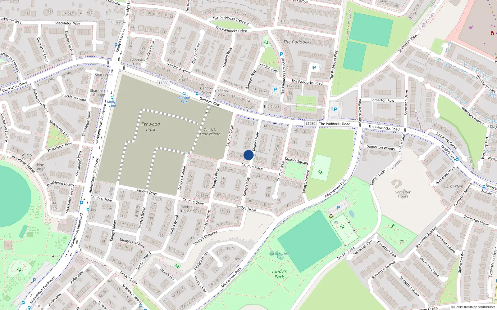 Overhead map showing the location of 16 Tandy's Lane, Lucan