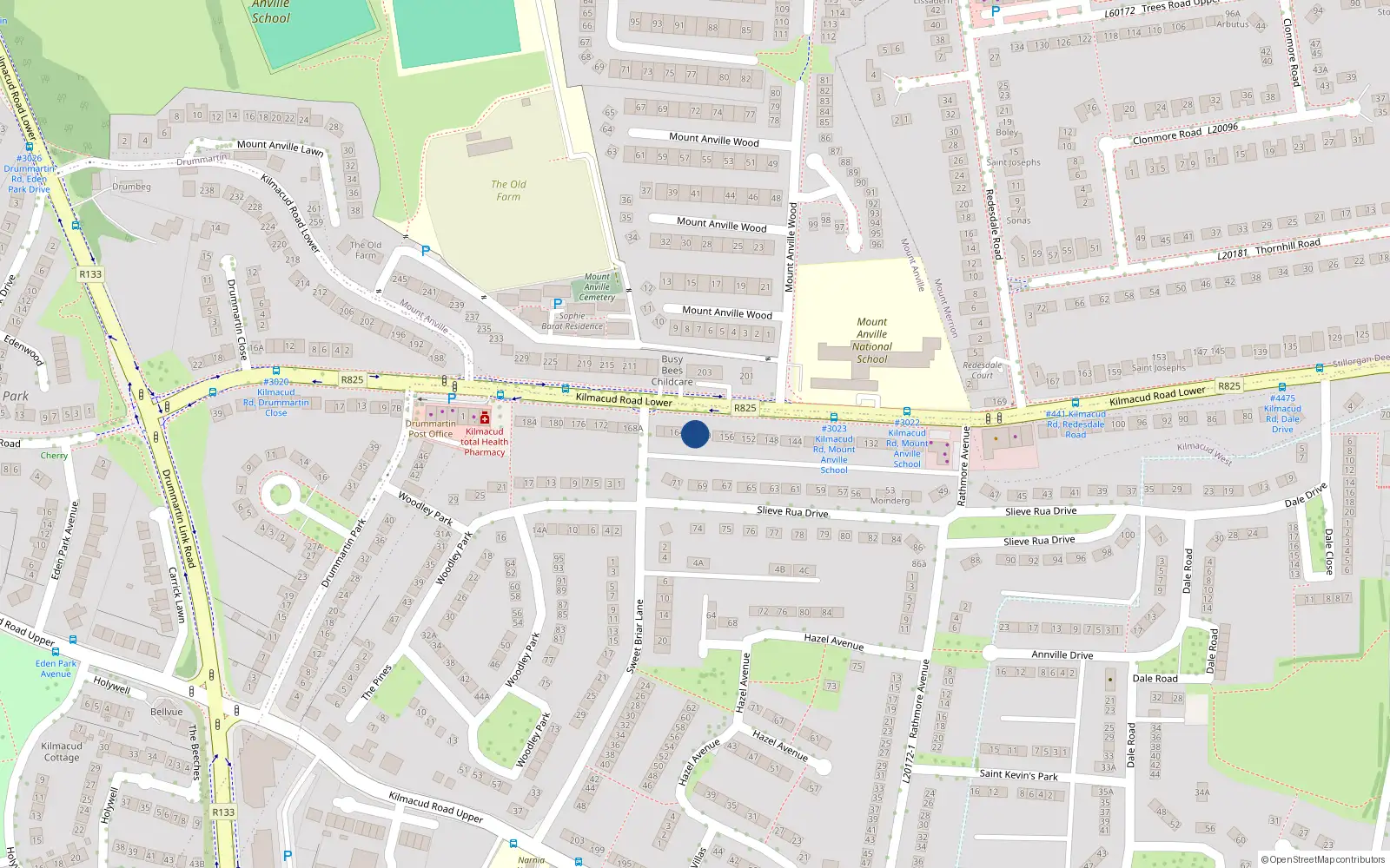 Overhead map showing the location of 160 Lower Kilmacud Road, Dublin