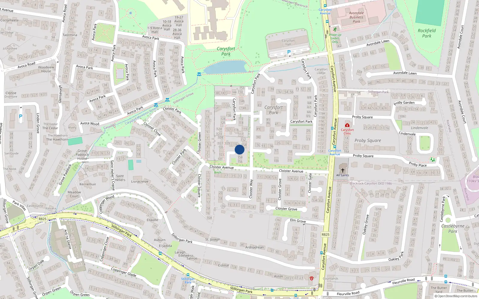 Overhead map showing the location of 161 Carysfort Park, Blackrock