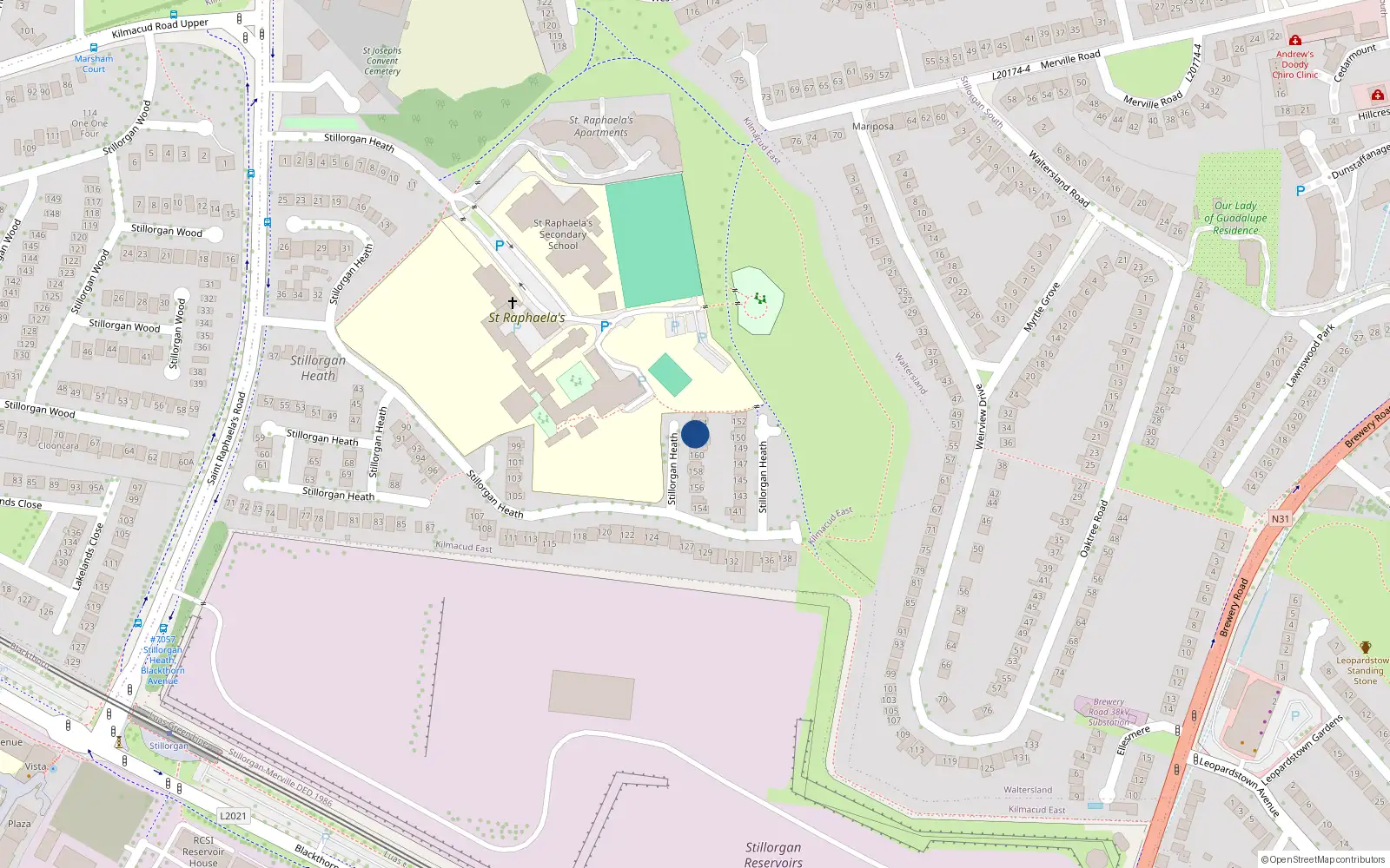 Overhead map showing the location of 163 Stillorgan Heath, Dublin