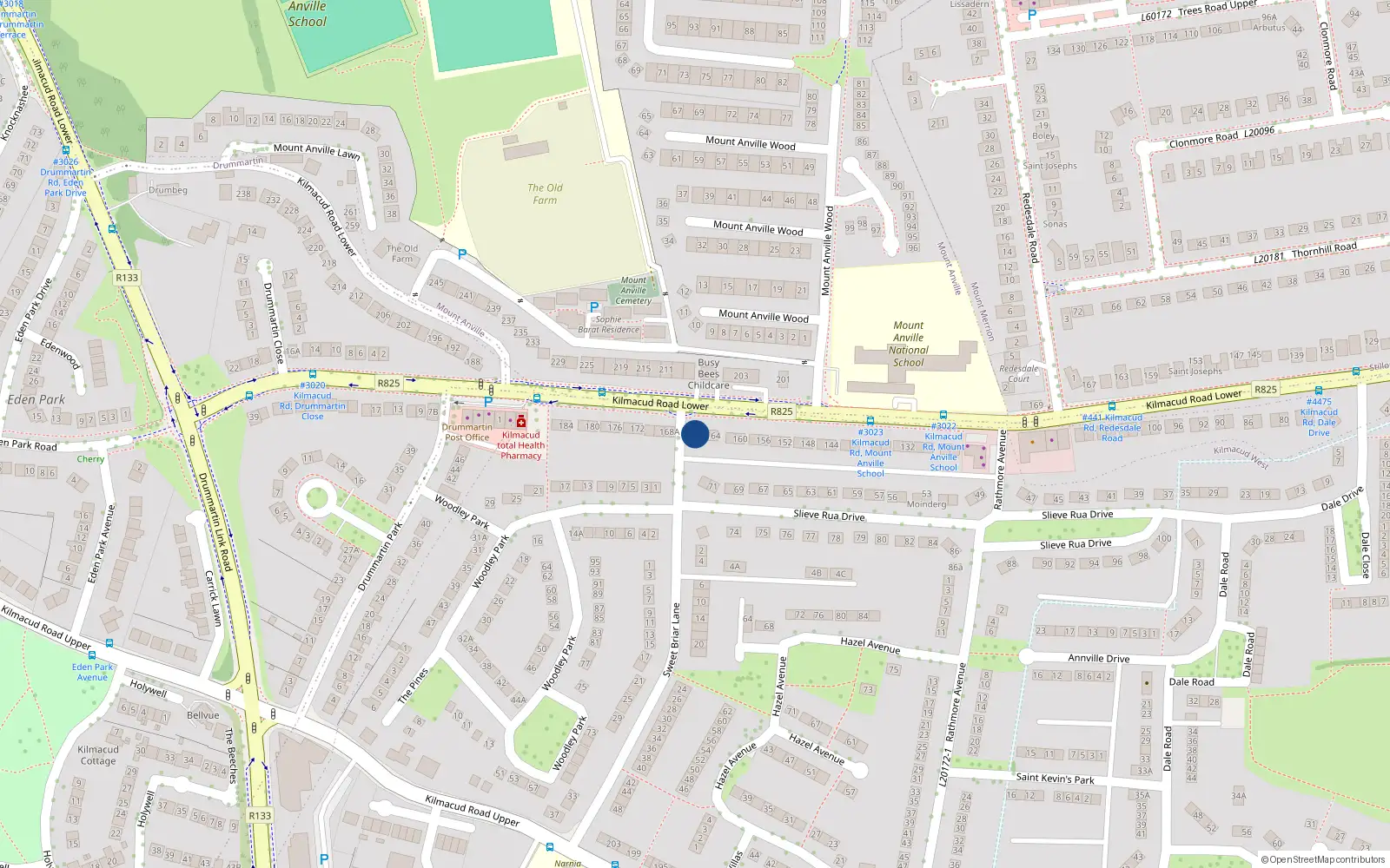 Overhead map showing the location of 166A Lower Kilmacud Road, Dublin