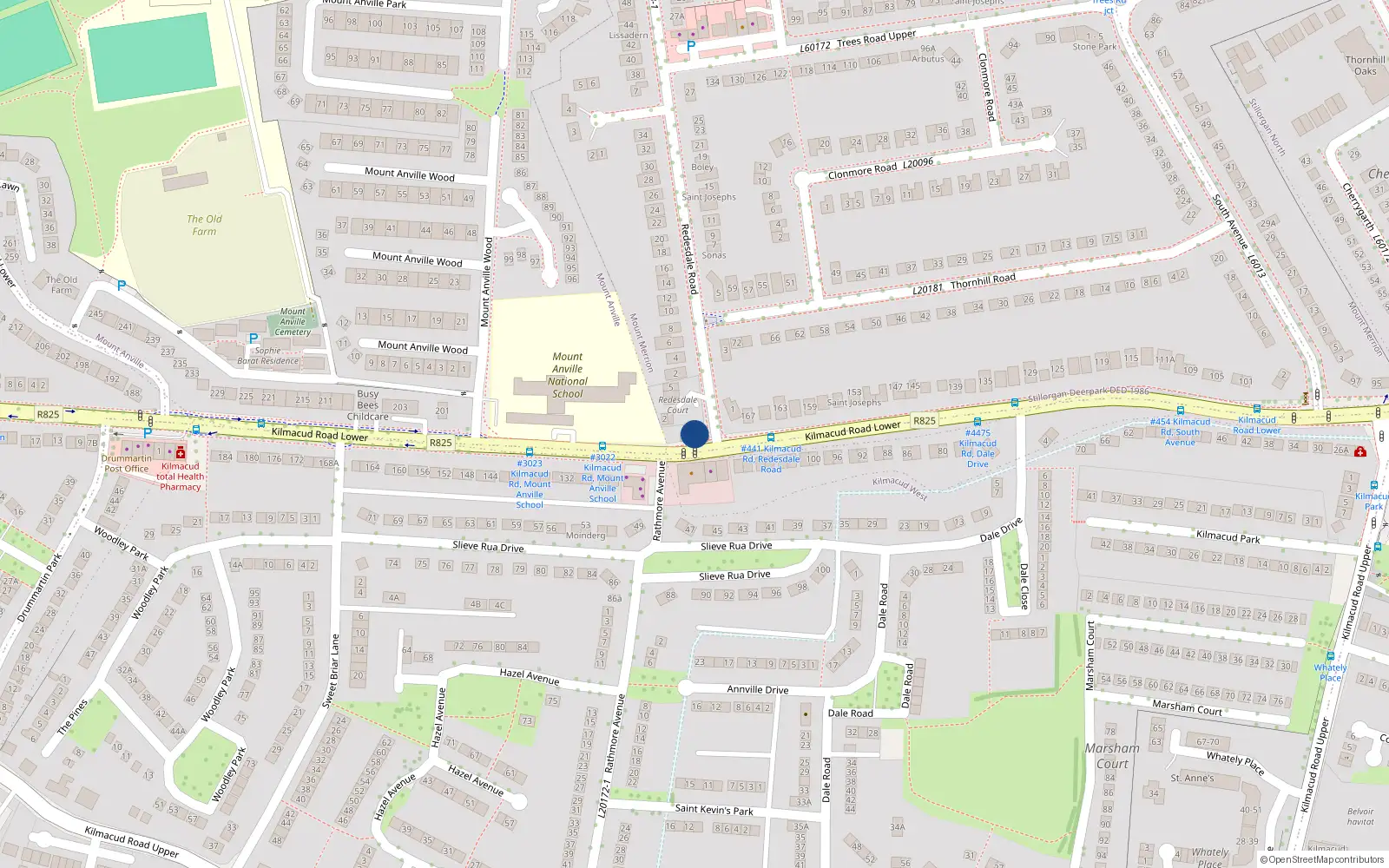 Overhead map showing the location of 169 Lower Kilmacud Road, Stillorgan, Dublin