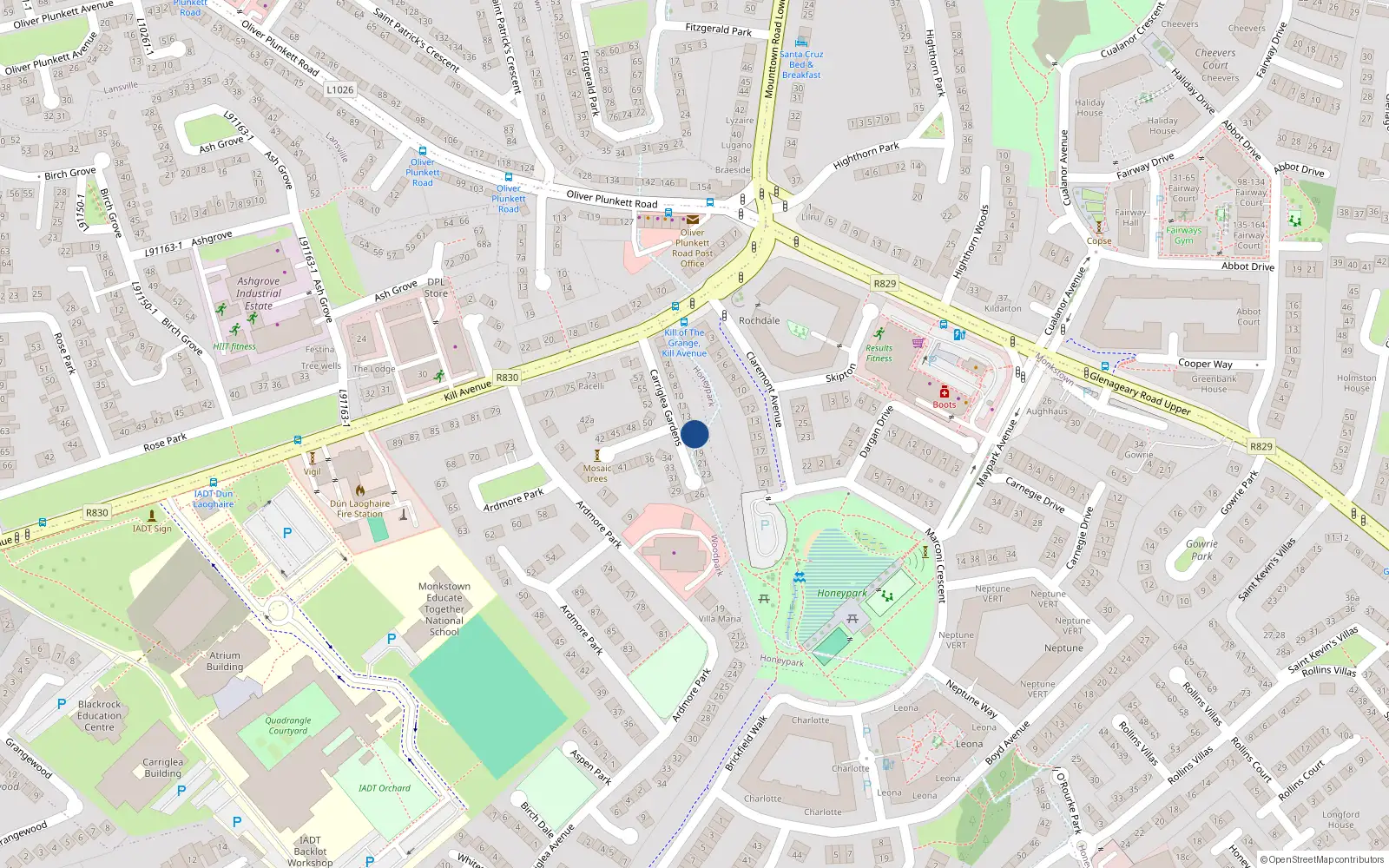 Overhead map showing the location of 17 Carriglea Gardens, Dublin