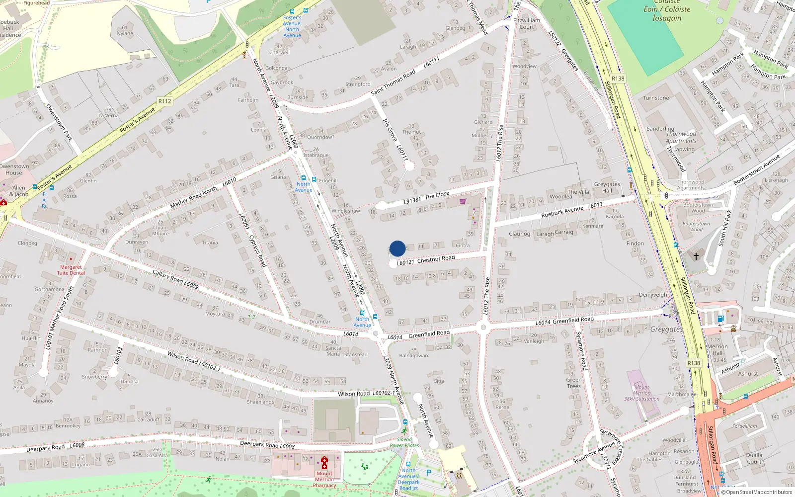 Overhead map showing the location of 17 Chestnut Road, Blackrock