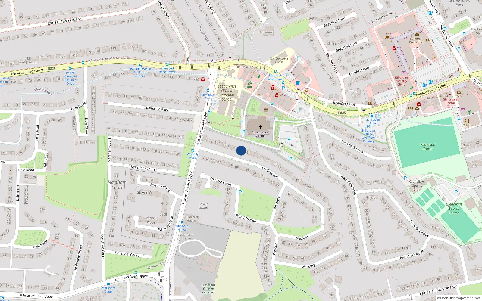 Overhead map showing the location of 17 Coolnevaun, Blackrock