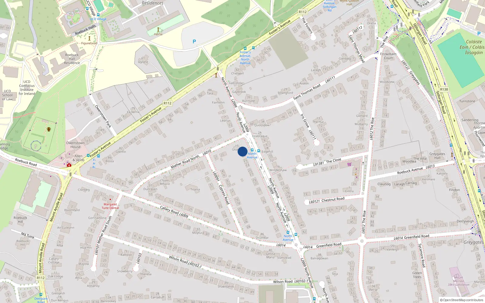 Overhead map showing the location of 17 North Avenue, Blackrock