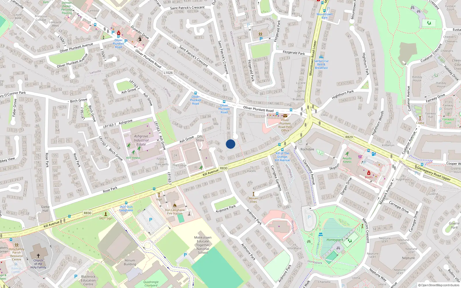 Overhead map showing the location of 17 St Patricks Terrace, Monkstown Farm, Dun Laoghaire