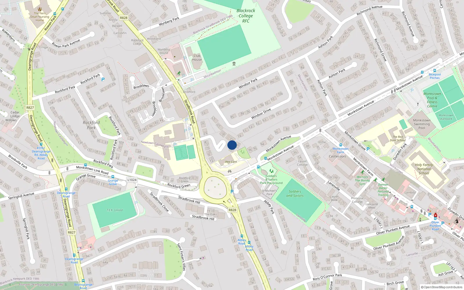 Overhead map showing the location of 17 Windsor Court, Blackrock