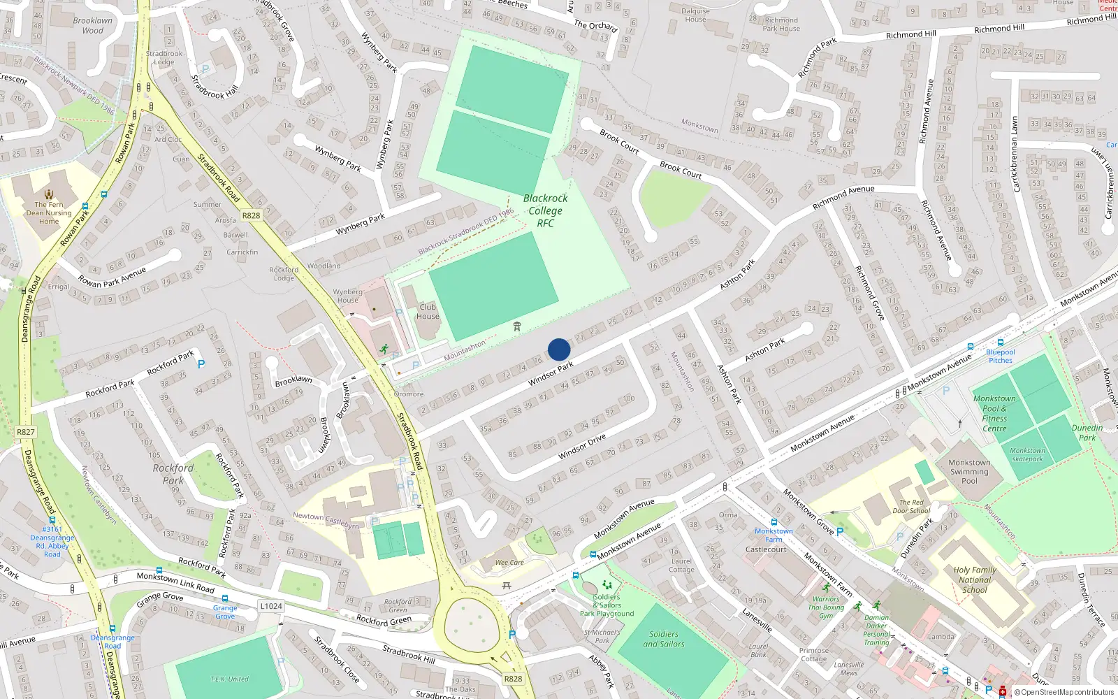 Overhead map showing the location of 17 Windsor Park, Monkstown