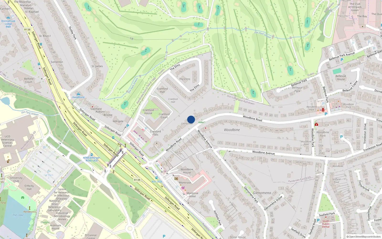 Overhead map showing the location of 17 Woodbine Road, Blackrock