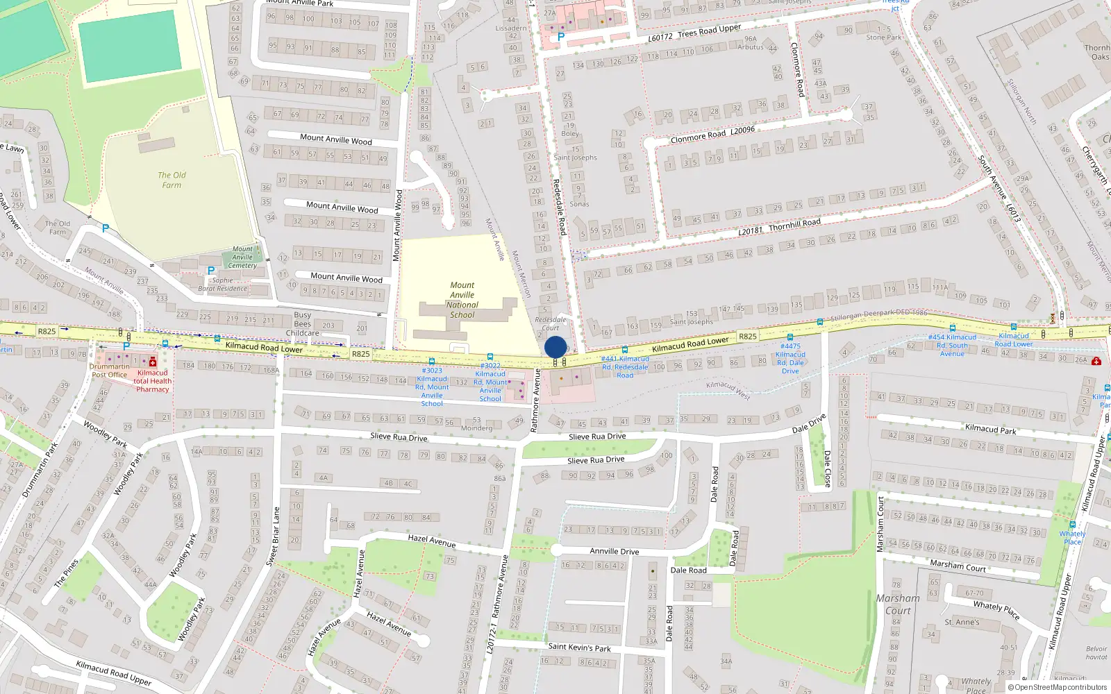 Overhead map showing the location of 171 Lower Kilmacud Road, Co Dublin