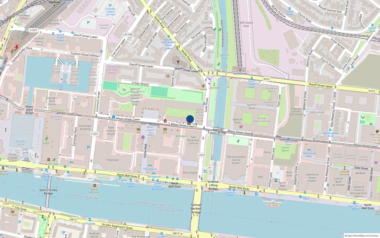 Overhead map showing the location of 176 Skellig House, Custom House Square, Mayor St Lower