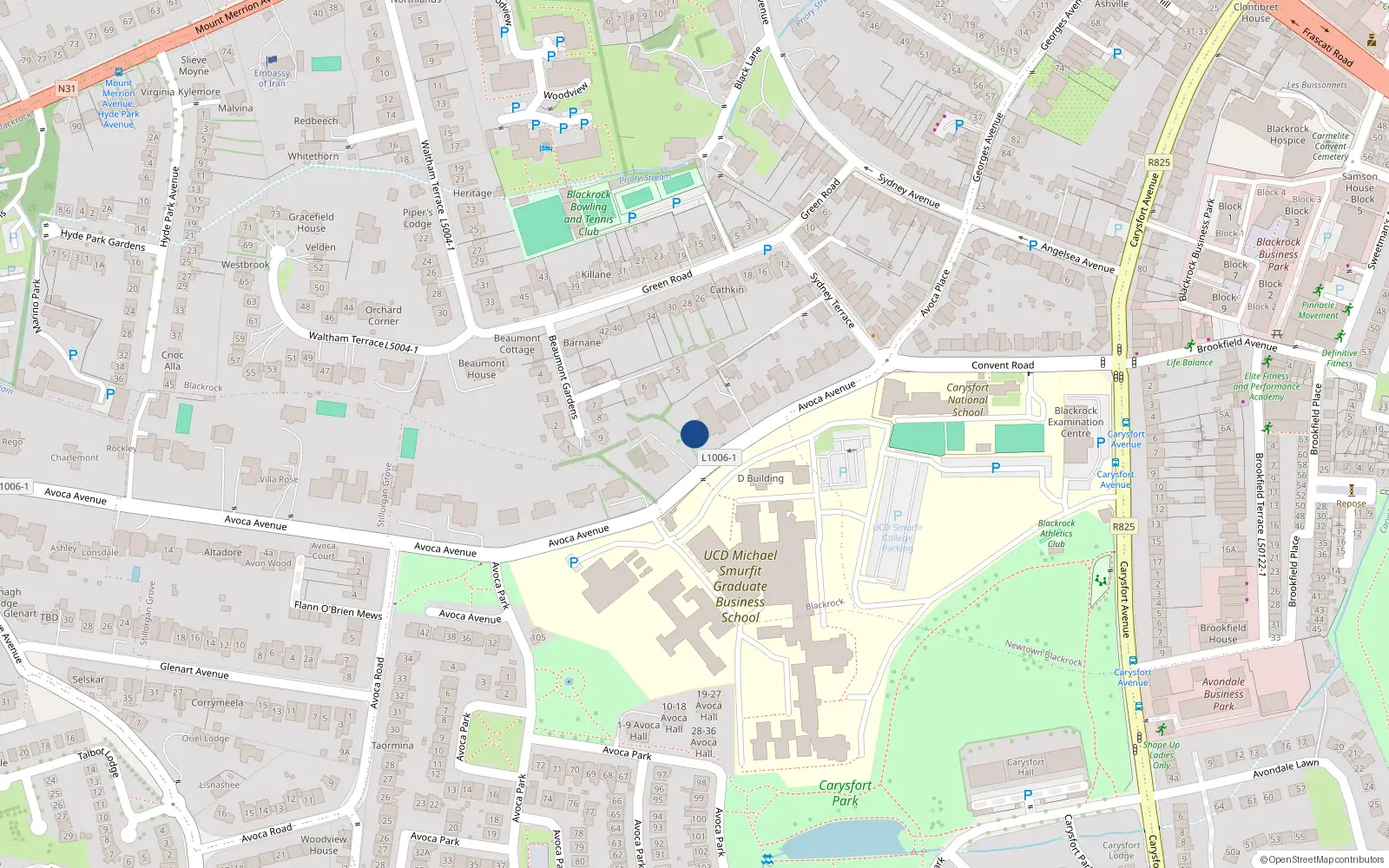 Overhead map showing the location of 17B Avoca Avenue, Blackrock