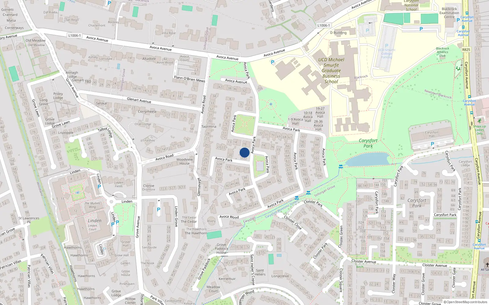 Overhead map showing the location of 18 Avoca Park, Blackrock