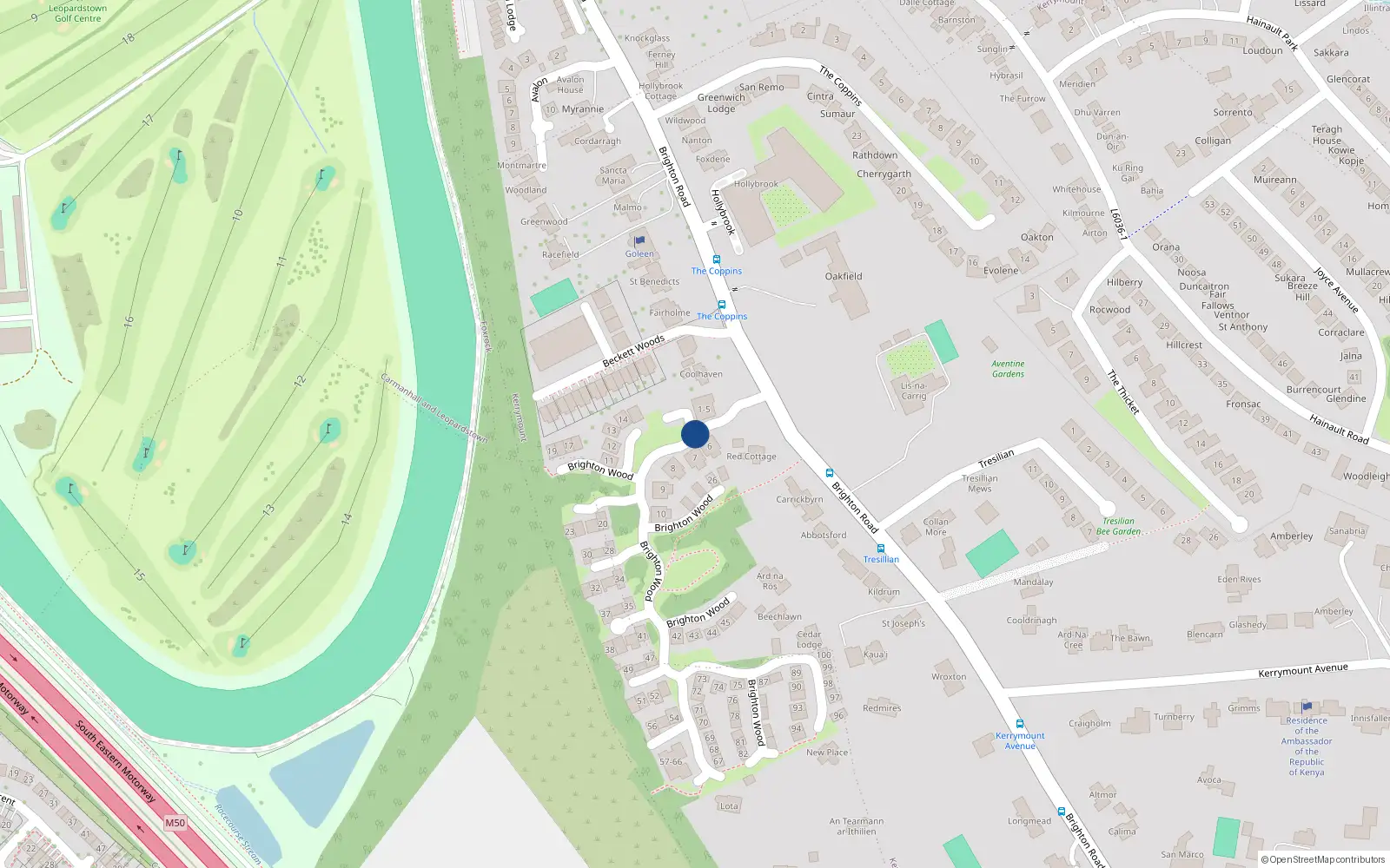 Overhead map showing the location of 18 Brighton Wood, Foxrock