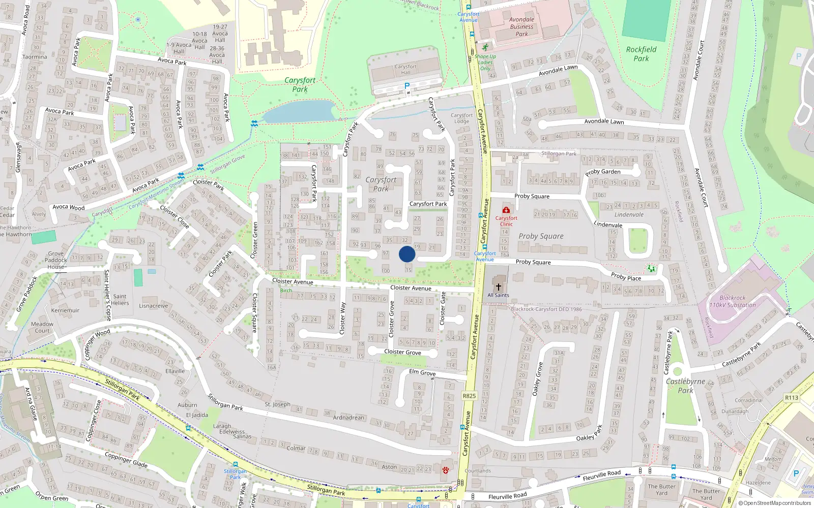 Overhead map showing the location of 18 Carysfort Park, Blackrock, Dublin