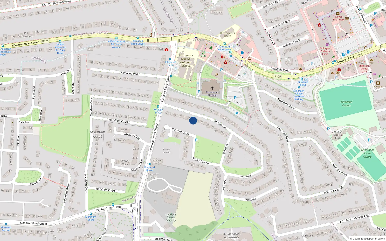 Overhead map showing the location of 18 Coolnevaun, Blackrock