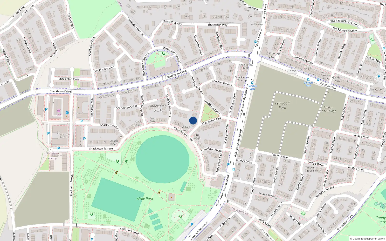 Overhead map showing the location of 18 Shackleton Wood, Lucan